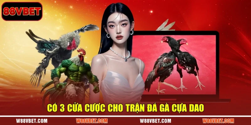 Có 3 cửa cược cho trận đá gà cựa dao