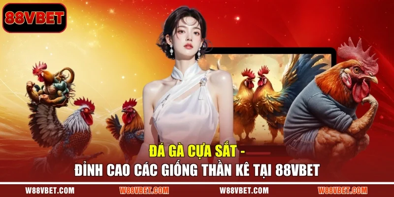 Đá Gà Cựa Sắt - Đỉnh Cao Các Giống Thần Kê Tại 88VBET