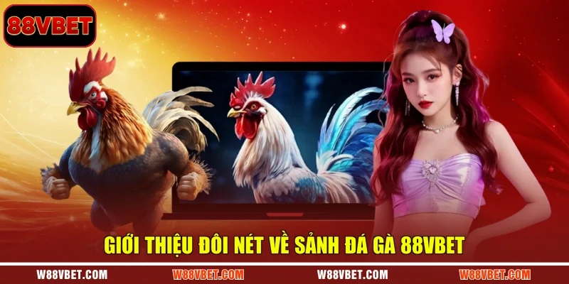 Giới thiệu đôi nét về sảnh đá gà 88VBET