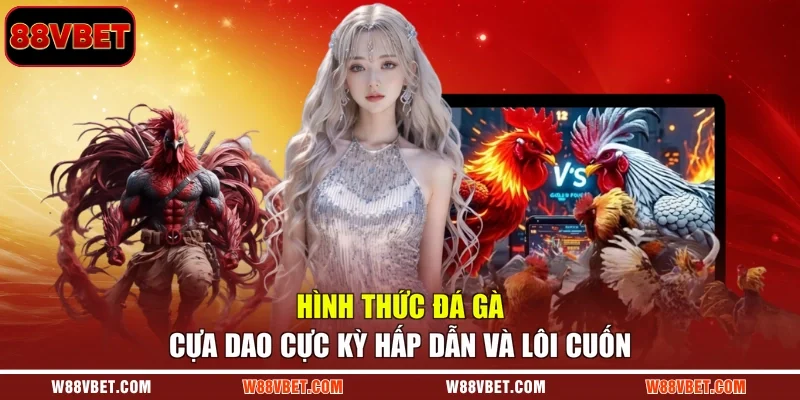 Hình thức đá gà cựa dao cực kỳ hấp dẫn và lôi cuốn