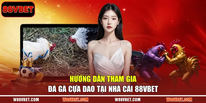 Hướng dẫn tham gia đá gà cựa dao tại nhà cái 88VBET