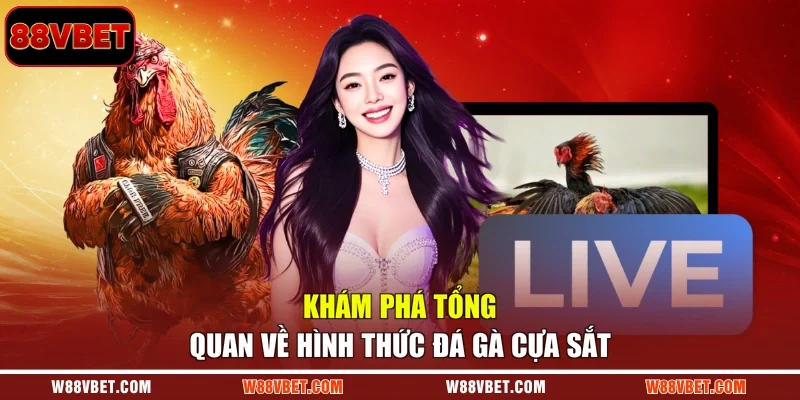 Khám phá tổng quan về hình thức đá gà cựa sắt