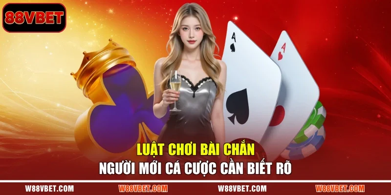Luật chơi bài chắn người mới cá cược cần biết rõ