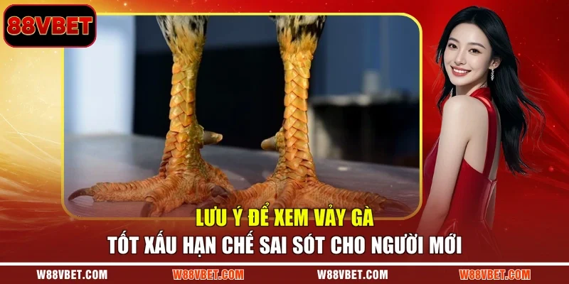 Lưu ý để xem vảy gà tốt xấu hạn chế sai sót cho người mới