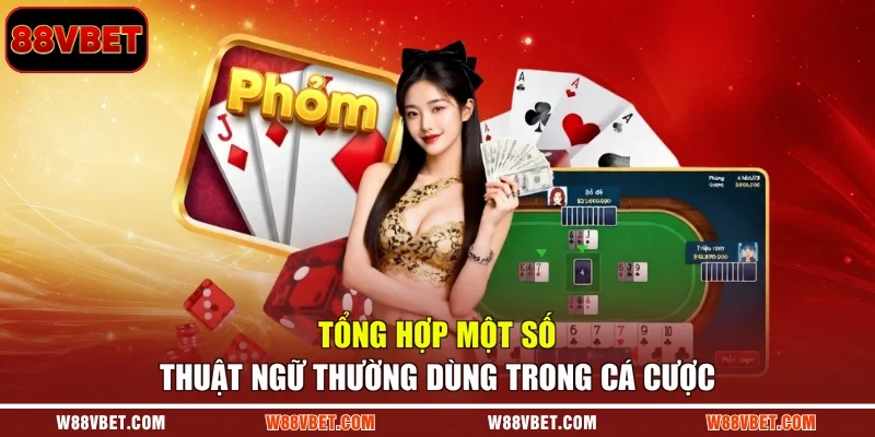 Tổng hợp một số thuật ngữ thường dùng trong cá cược